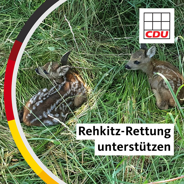 Read more about the article CDU stellt Antrag: Rehkitzrettung mit Wärmebilddrohnen